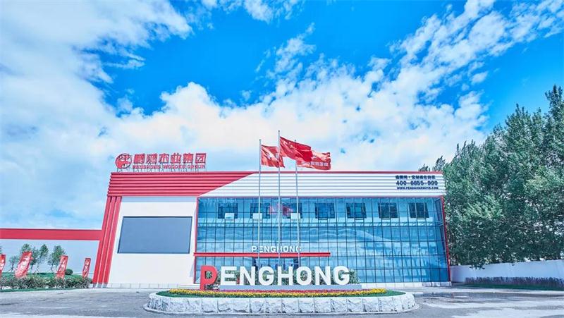 腾博官网诚信为本“定造家”升级“妄想家”