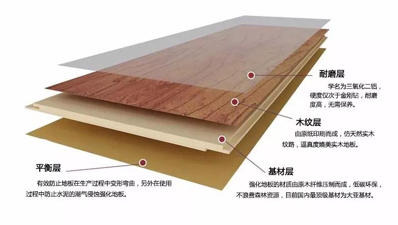 腾博官网诚信为本强化地板刨面图